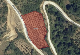 Asvalta Sıfır 4.120 m2 Bakımlı Masrafsız Zeytinlik