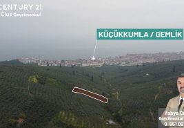 K.Kumla Mah.de Deniz Manzaralı Satılık Zeytinlik