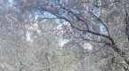 IMG 4084