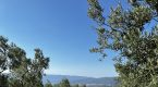 IMG 3555 2